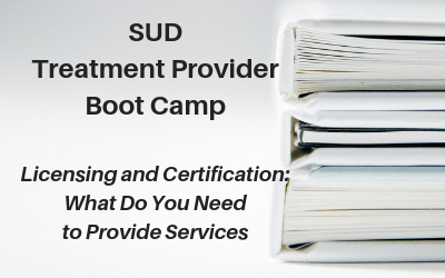 SUD Treatment Provider Boot Camp - Licensing and Certification: What Do You Need to Provide Services